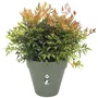 Elho Pot de fleurs rond Loft Urban, vert, Ø38,5 x H35,3 cm, réservoir d'eau intégré et roulettes, pour balcon, jardin ou terrasse