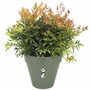 Elho Pot de fleurs Loft Urban Rond Vert avec roulettes