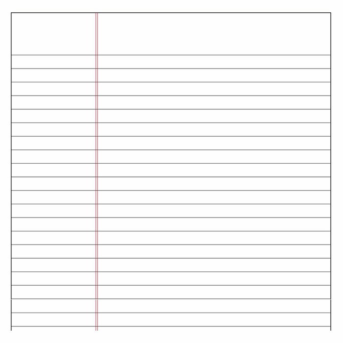 Livre d'actes DOHE 09905 Bordeaux A4 Feuille 100 Volets