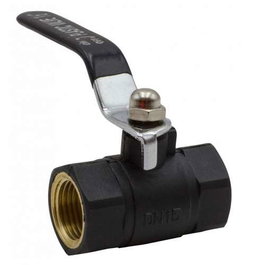 Riegolux Valve anti-gel en nylon avec levier 1/2
