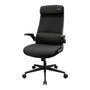 Cougar Chaise de jeu 3MSTDBLB.0001 Noir