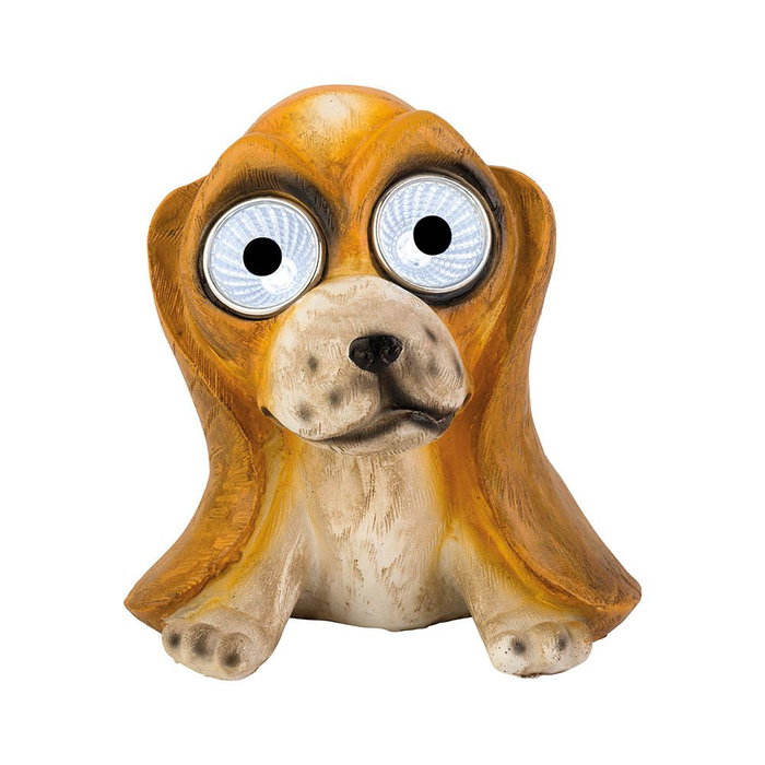 Lumière solaire Lumineo Blanc Blanc froid 6500K Chien Lumière solaire Lumineo Blanc Blanc froid 6500K Chien