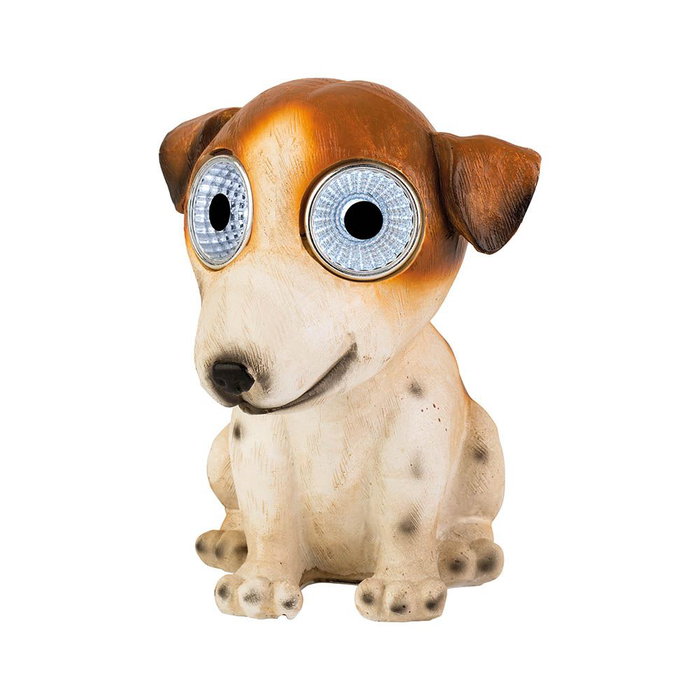 Lumière solaire Lumineo Blanc Blanc froid 6500K Chien Lumière solaire Lumineo Blanc Blanc froid 6500K Chien