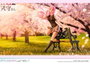 Prime 1 Studio Shikimor's Not Just a Cutie Statuette Shikimori san 1/7