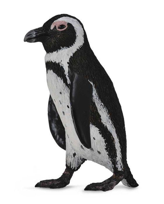 Collecta Figurine Pingouin du Cap -S- 88710, Réplique Réaliste Échelle, Peinte à la Main, Matériaux Haute Qualité, +3 Ans Collecta Figurine Pingouin du Cap -S- 88710, Réplique Réaliste Échelle, Peinte à la Main, Matériaux Haute Qualité, +3 Ans