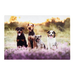 Tarres Tapis de sol d'intérieur Deco print design groupe de chiens, 40 x 60 cm