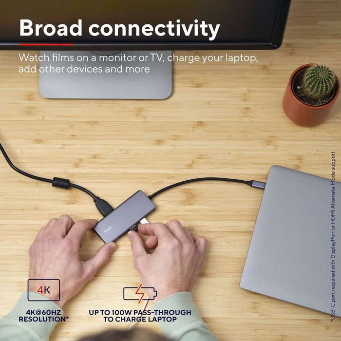 Hub USB Trust 24968 Argenté