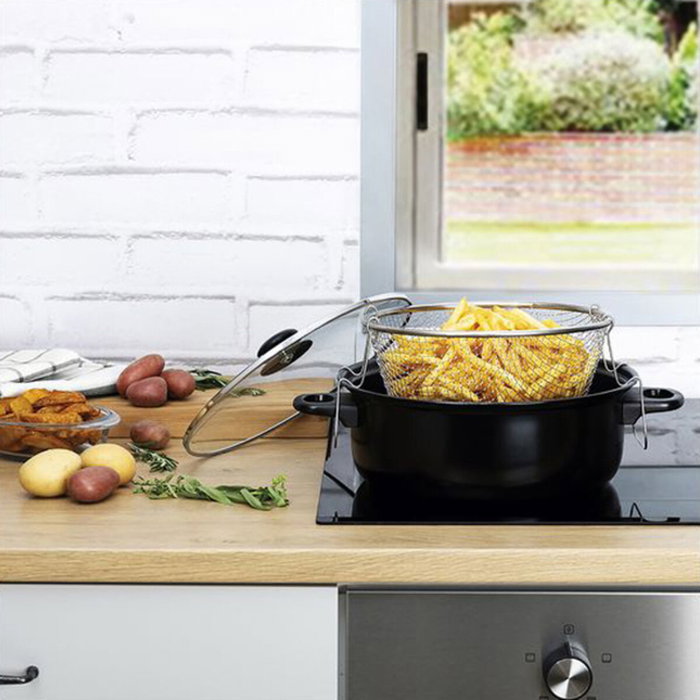Quid Friteuse Gante 26 cm Acier Peint Compatible Vitrocéramique, Électrique, Gaz