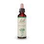Bach Original Centaury/Centaura Menor Nº4 20 ml