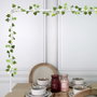 Home Deco Factory Guirlande 20 LED avec feuilles 2 m