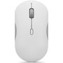 Lenovo GY51S61907 Souris Gris 2400 dpi