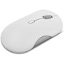 Lenovo GY51S61907 Souris Gris 2400 dpi