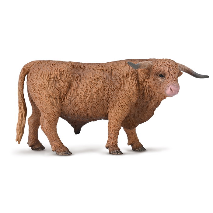 Collecta - Taureau des Hautes Terres - Réplique Animale Détailée et Peinte à la Main - Figurine Éducative - 80011 - À partir de 3 ans Collecta - Taureau des Hautes Terres - Réplique Animale Détailée et Peinte à la Main - Figurine Éducative - 80011 - À partir de 3 ans