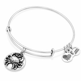 Alex And Ani Bracelet Cancer3 Gris 20cm