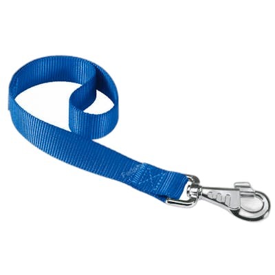 FERPLAST VET Laisse Nylon Club GM25 45 Bleu FERPLAST VET Laisse Nylon Club GM25 45 Bleu