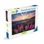 Ravensburger Puzzle 500 pièces Les lupins (Nature edition)