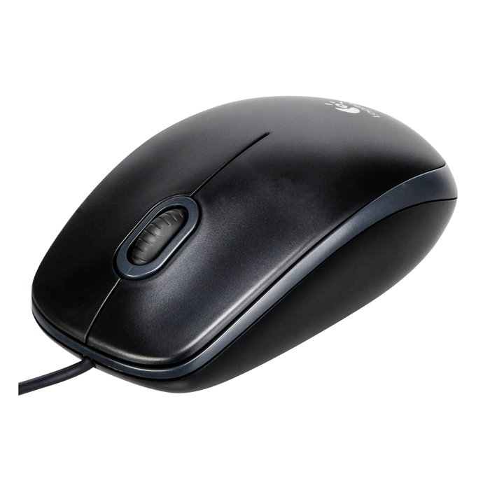 Logitech B100 Souris Optique USB Noire