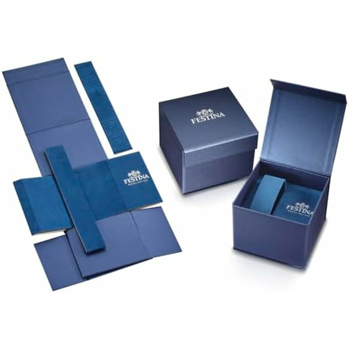 Montre Homme Festina F20742/4