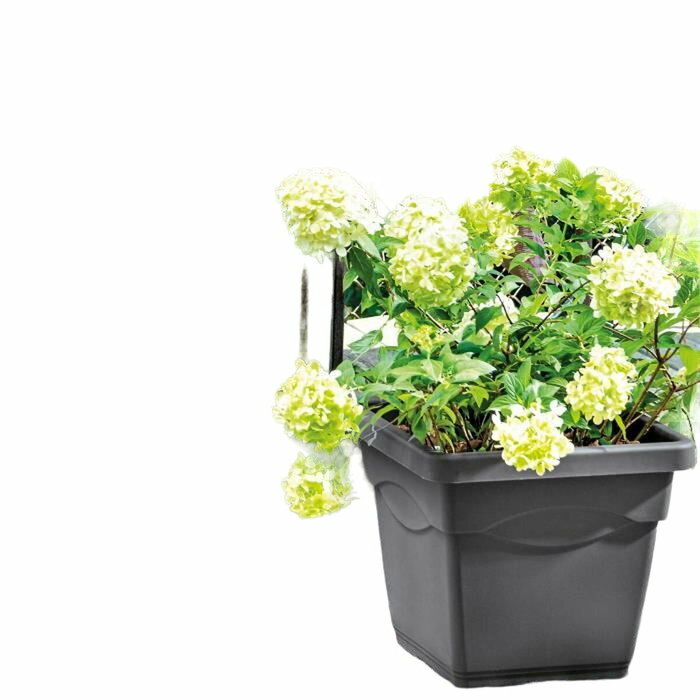 Deroma Pot de fleurs carré Day R Anthracite - 38 x H33,5 cm