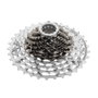Campagnolo SR Ultra 13V Plata (10-33)