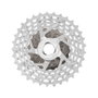 Campagnolo SR Ultra 13V Plata (10-33)