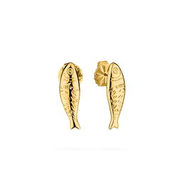 Boucles d´oreilles Femme Radiant RY000449 Doré