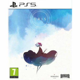 Just For Games Gray PS5
