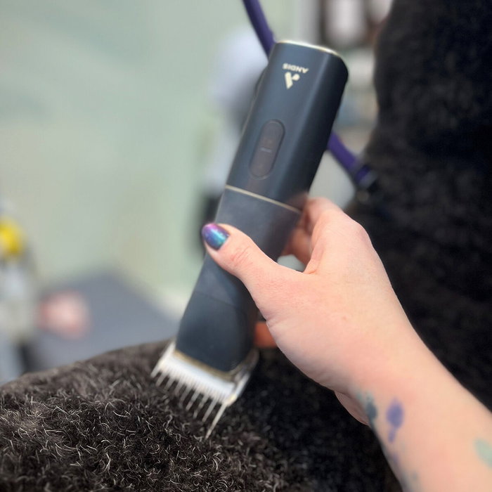 Tondeuse pour animaux de compagnie Andis BESPOKE Noir