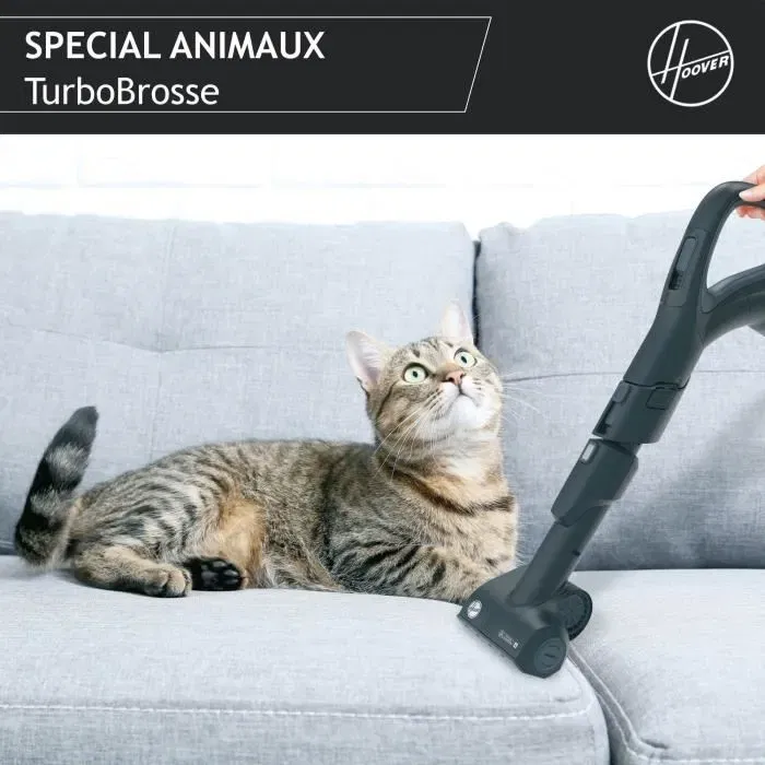 Hoover HP720PET Aspirateur traîneau sans sac 850 W, spécial parquet et animaux, filtre HEPA 13, cassette 2 L, 68 dBA