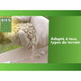 BHS Semence de gazon Regarnissage Terrain Sec - 1kg