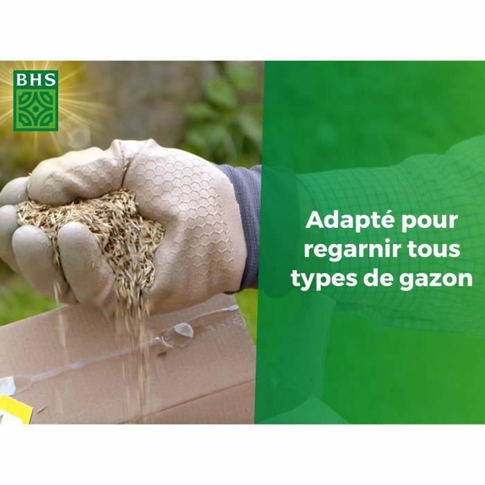 BHS Semence de gazon Regarnissage Terrain Sec - 1kg
