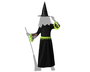 Déguisement Enfant Sorcière Costume Robe Longue Vert et Noir avec Chapeau Pointu pour Halloween Filles 7-9 Ans