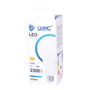 GSC Evolution Ampoule LED standard A70 21W E27 6000K