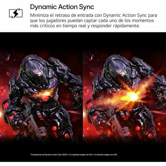 Écran LG 24GS50F-B.AEUQ Full HD