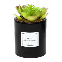 Home Deco Factory Plante Artificielle Seconde Natu