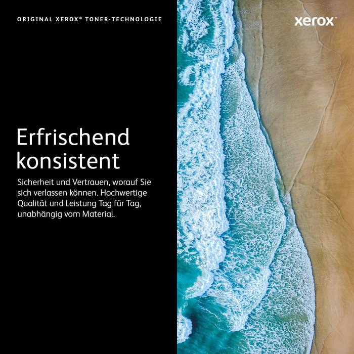 Xerox Unité tambour 113R00779 Standard Xerox Unité tambour 113R00779 Standard