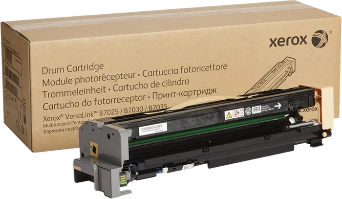 Xerox Unité de tambour noir 113R00779