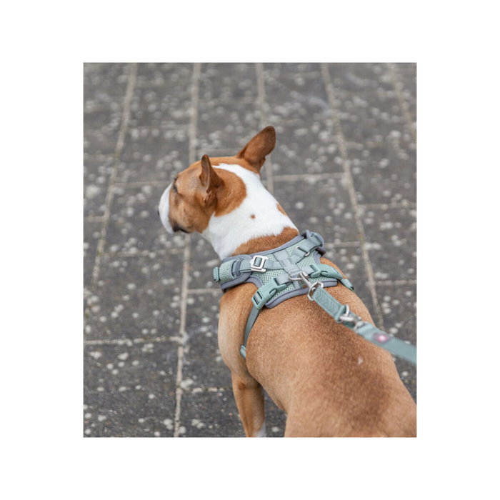 Harnais pour Chien Trixie Premium FlexMesh M
