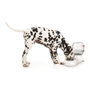 M-PETS Distributeur d'eau Cylinder 3500ml Blanc