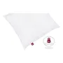 Abeil Lot de 2 oreillers Ultima Confort - 60 x 60 cm - Oreillers doux et gonflants - Certifiés Oeko-Tex Standard 100