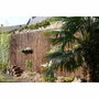 Nature Canisse fagot d'osier fin - Naturel - 1 x 3 m