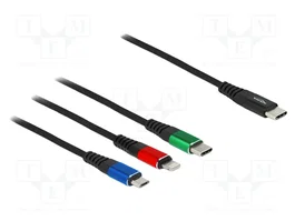 DELOCK Câble USB 2.0 0,3m Noir