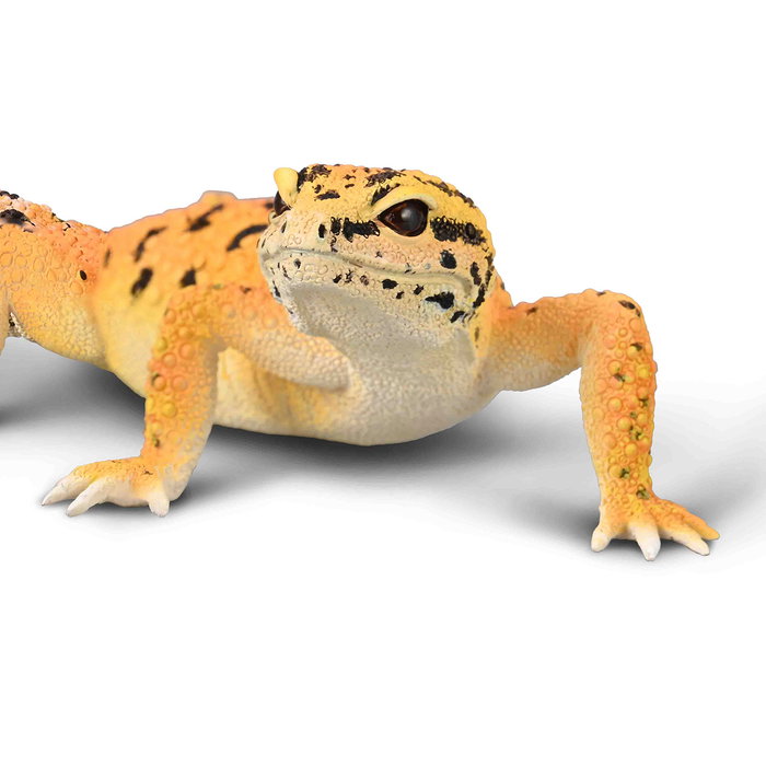 COLLECTA Gecko Léopard COLLECTA Gecko Léopard