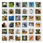 Educa Identic Animaux - Jeu de mémoire 72 cartes
