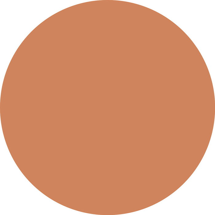 Catrice Crème teintée SKIN LIKE 042C