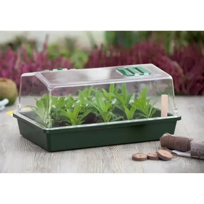 Nature - Mini-serre rigide avec couvercle ventilé - H18 x L37.5 x P24 cm - Vert - Pour semis et protection plantes - Usage intérieur et extérieur Nature - Mini-serre rigide avec couvercle ventilé - H18 x L37.5 x P24 cm - Vert - Pour semis et protection plantes - Usage intérieur et extérieur