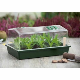Nature Mini-serre rigide avec couvercle ventilé Vert