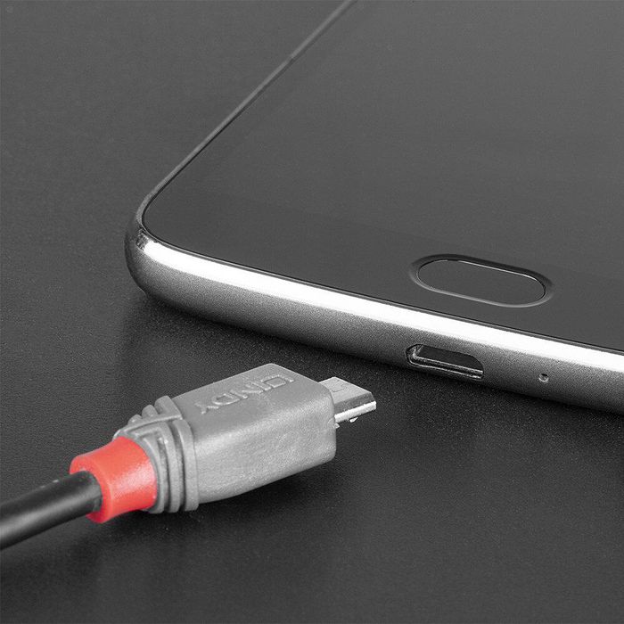 Lindy Câble USB 2.0 Type C vers Micro-B Anthra Line, 0,5m Lindy Câble USB 2.0 Type C vers Micro-B Anthra Line, 0,5m
