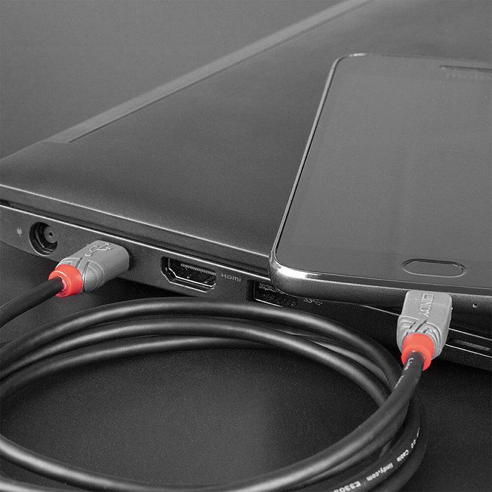 Lindy Câble USB 2.0 Type C vers Micro-B Anthra Line, 0,5m Lindy Câble USB 2.0 Type C vers Micro-B Anthra Line, 0,5m