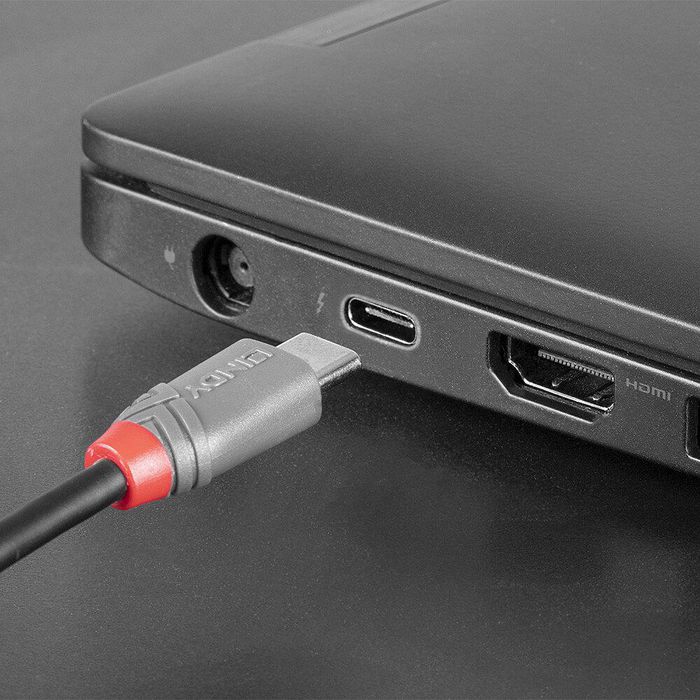 Lindy Câble USB 2.0 Type C vers Micro-B Anthra Line, 0,5m Lindy Câble USB 2.0 Type C vers Micro-B Anthra Line, 0,5m